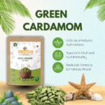 Green Cardamom (Hari Elaichi) - Image 3